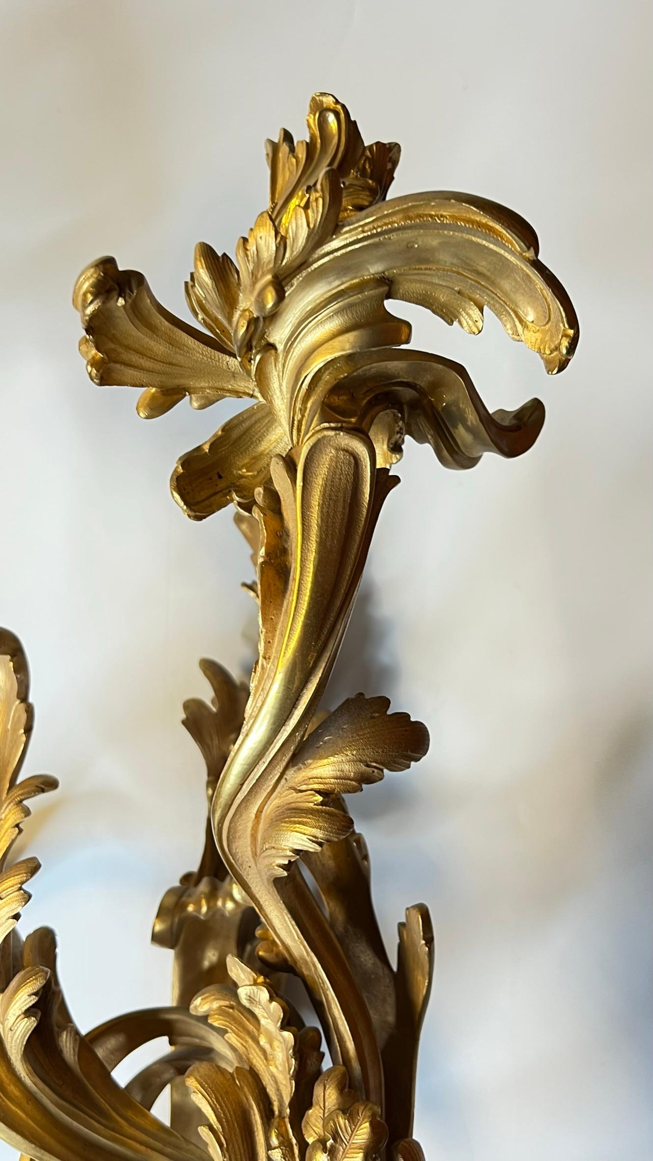 Pair Large Louis XV Rococo Gilt Bronze Three-Light Sconces For Sale 8