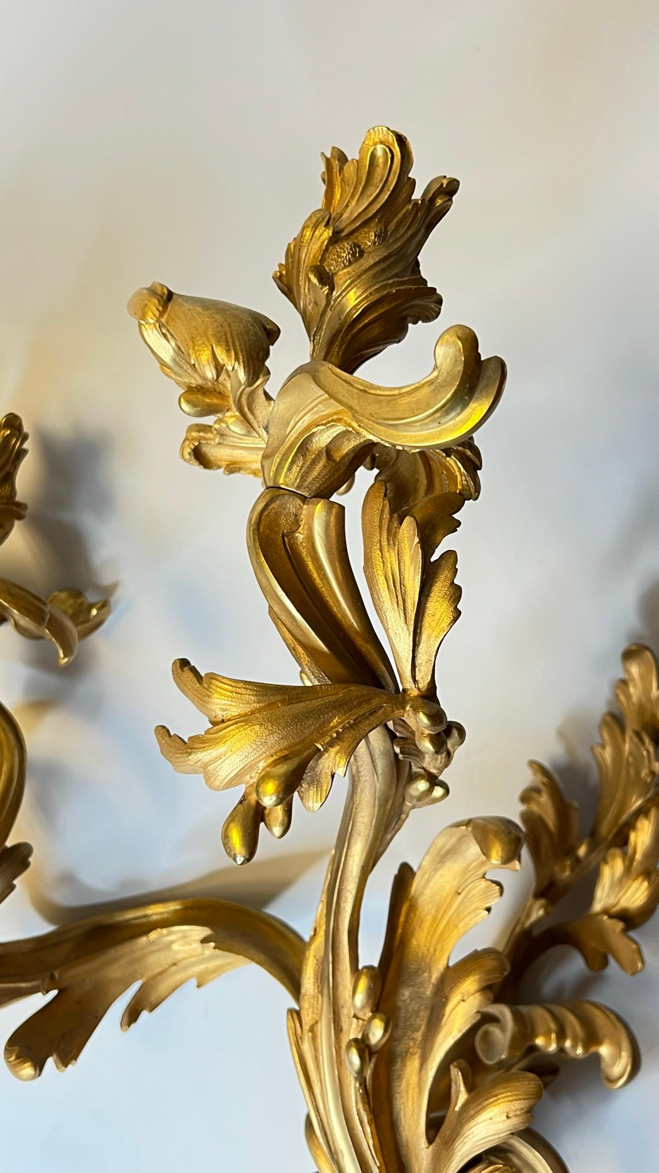 Pair Large Louis XV Rococo Gilt Bronze Three-Light Sconces For Sale 9
