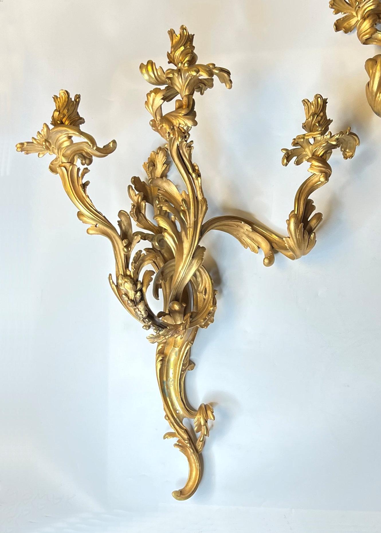 Our very large pair of gilt bronze three-light sconces in the Louis XV rococo style measure 30 inches (76 cm) tall and are in very good condition. Drilled for electrification. We may add sockets and wiring for a modest fee.