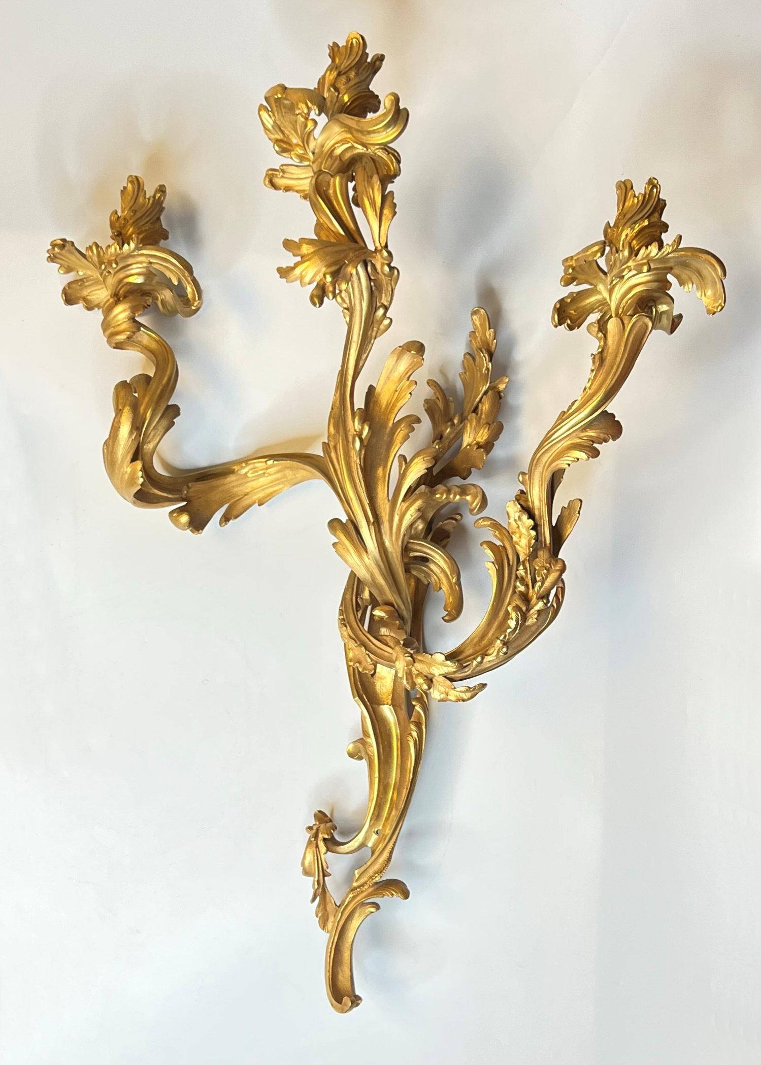 Rococo Paire de grandes appliques à trois lumières Louis XV rococo en bronze doré en vente