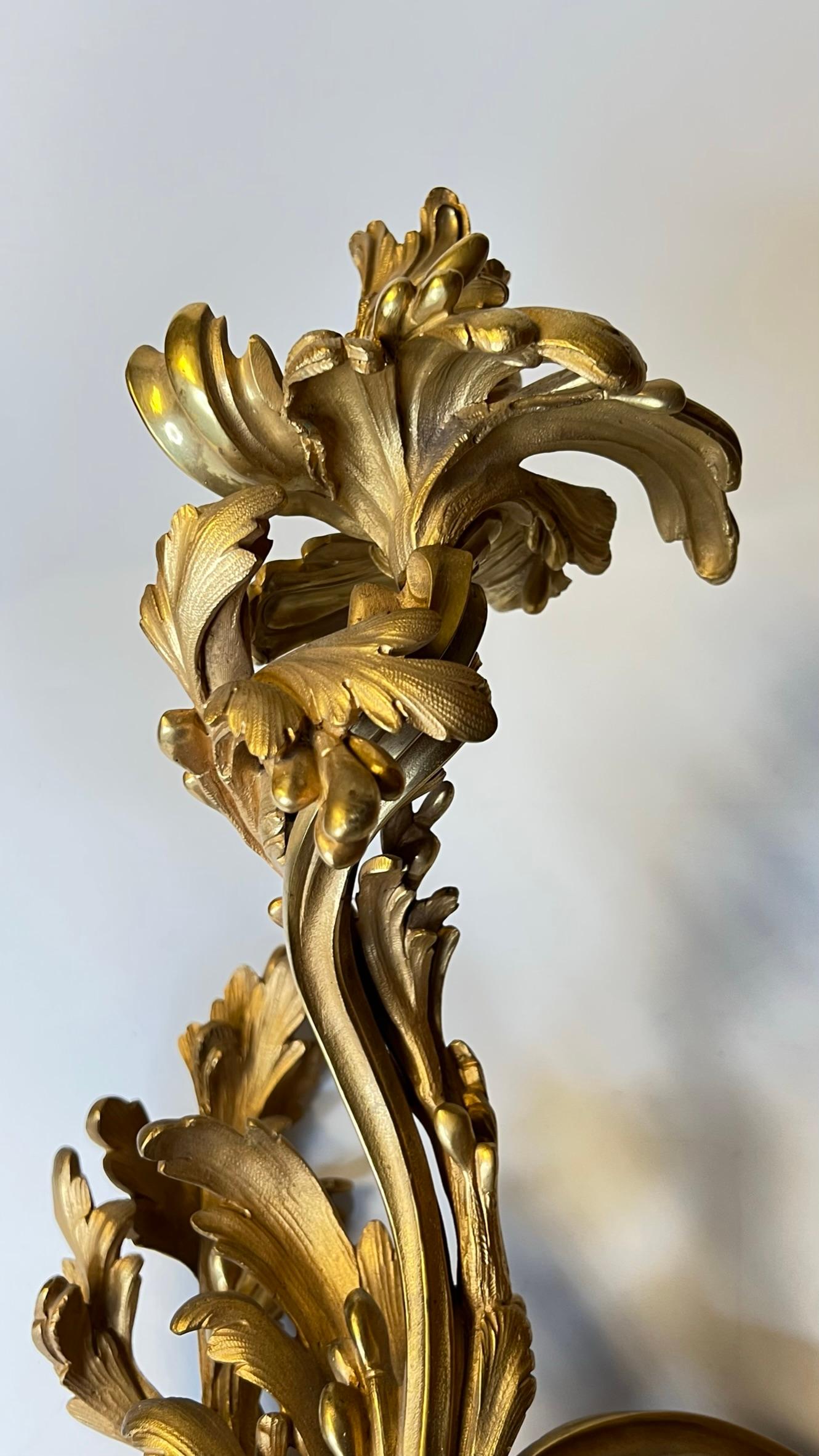Doré Paire de grandes appliques à trois lumières Louis XV rococo en bronze doré en vente