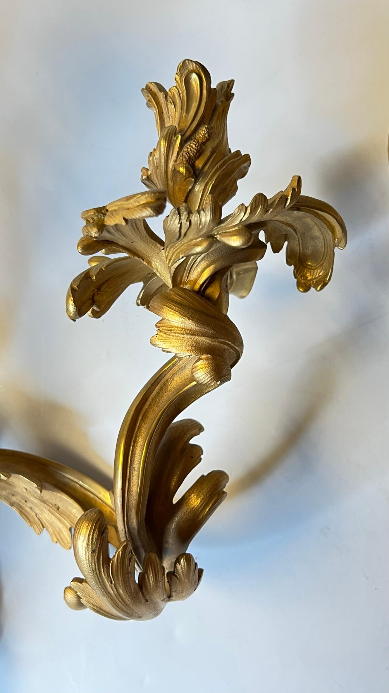 Pair Large Louis XV Rococo Gilt Bronze Three-Light Sconces For Sale 1