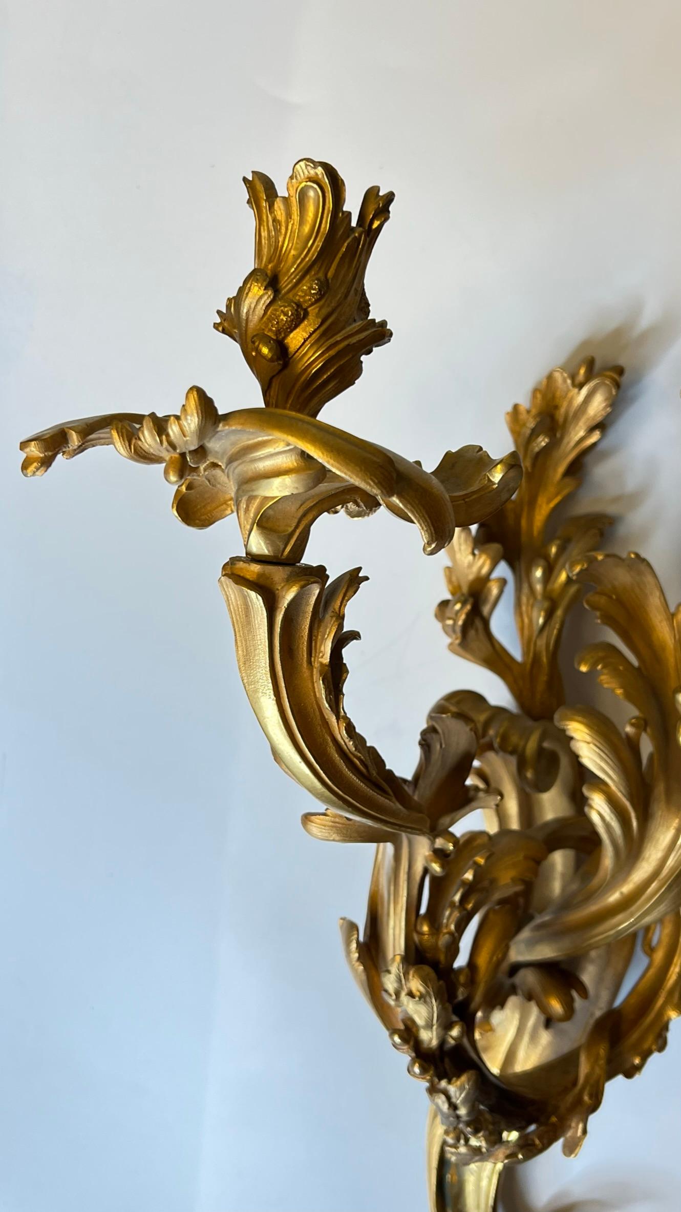 Pair Large Louis XV Rococo Gilt Bronze Three-Light Sconces For Sale 2