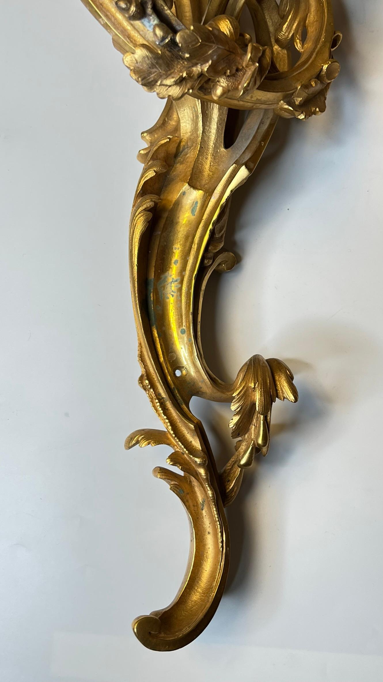 Pair Large Louis XV Rococo Gilt Bronze Three-Light Sconces For Sale 5