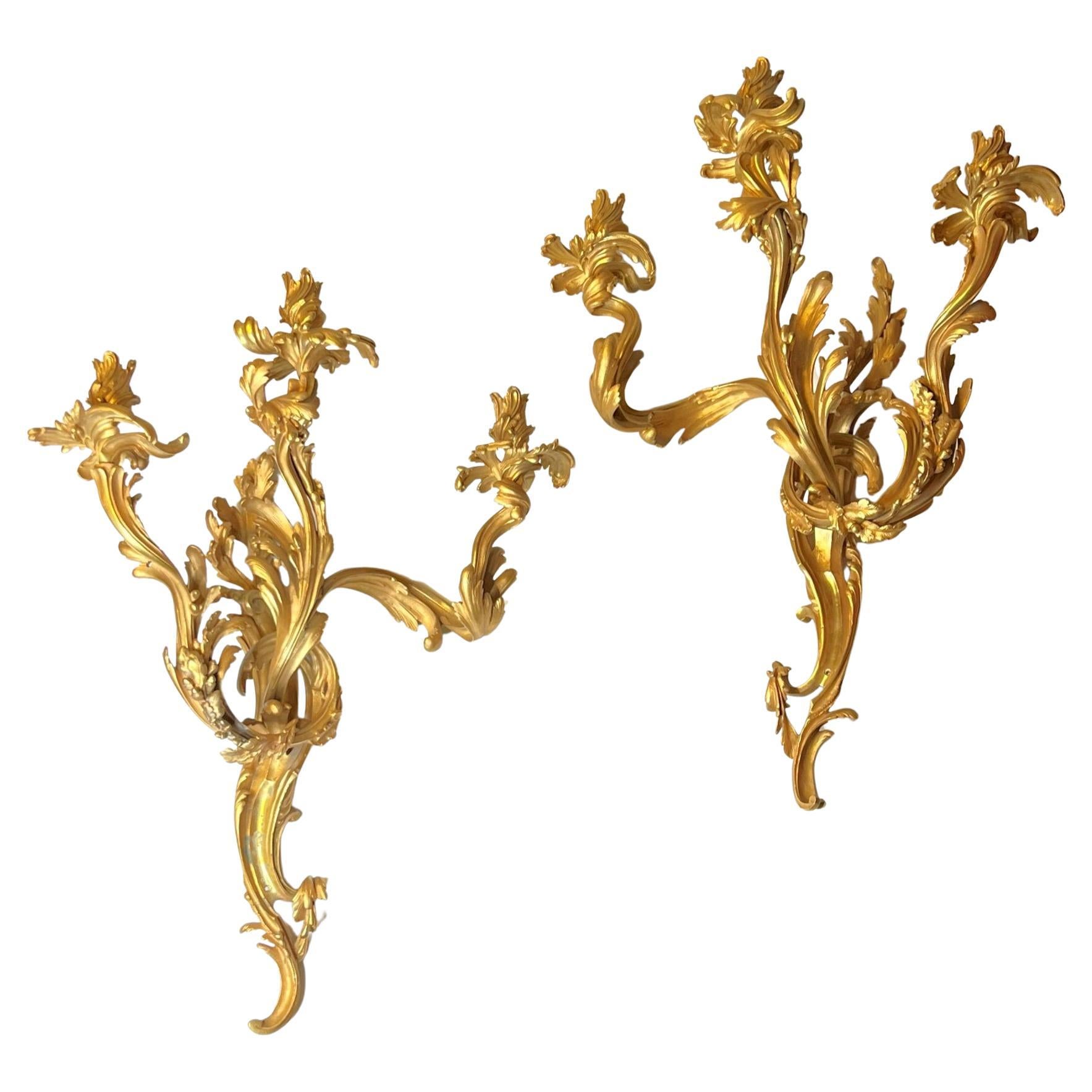 Pair Large Louis XV Rococo Gilt Bronze Three-Light Sconces For Sale