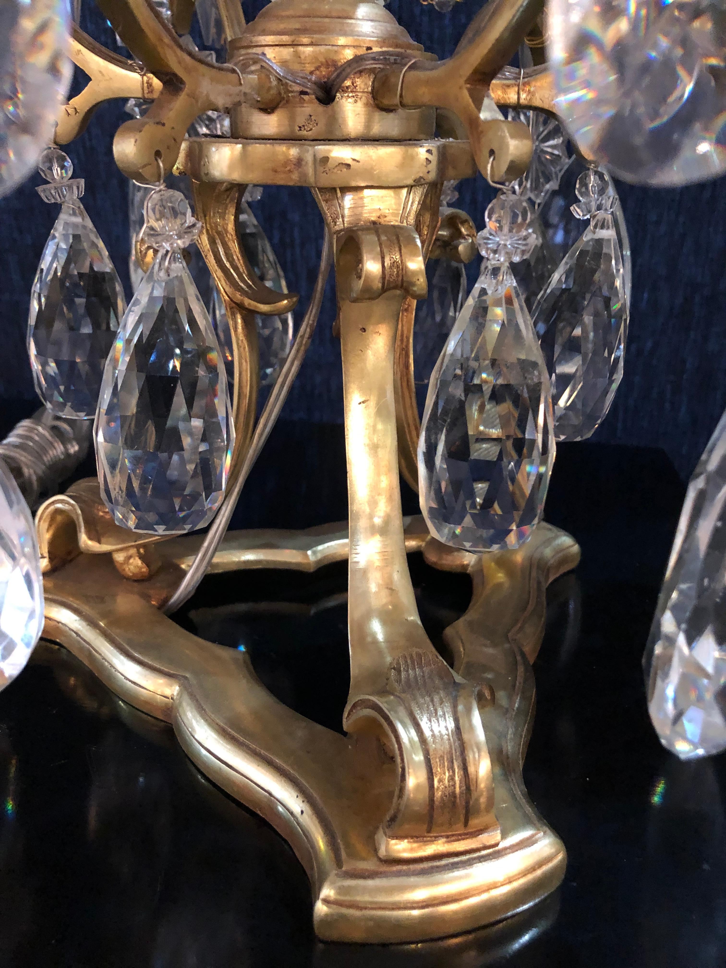 Pair of Large Louis XVI Style 12-Light Candelabrum Table Lamps Brass and Crystal 5