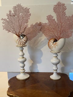 Pair large Nautilus Sea Shells with Red Sea Fans on White Stands