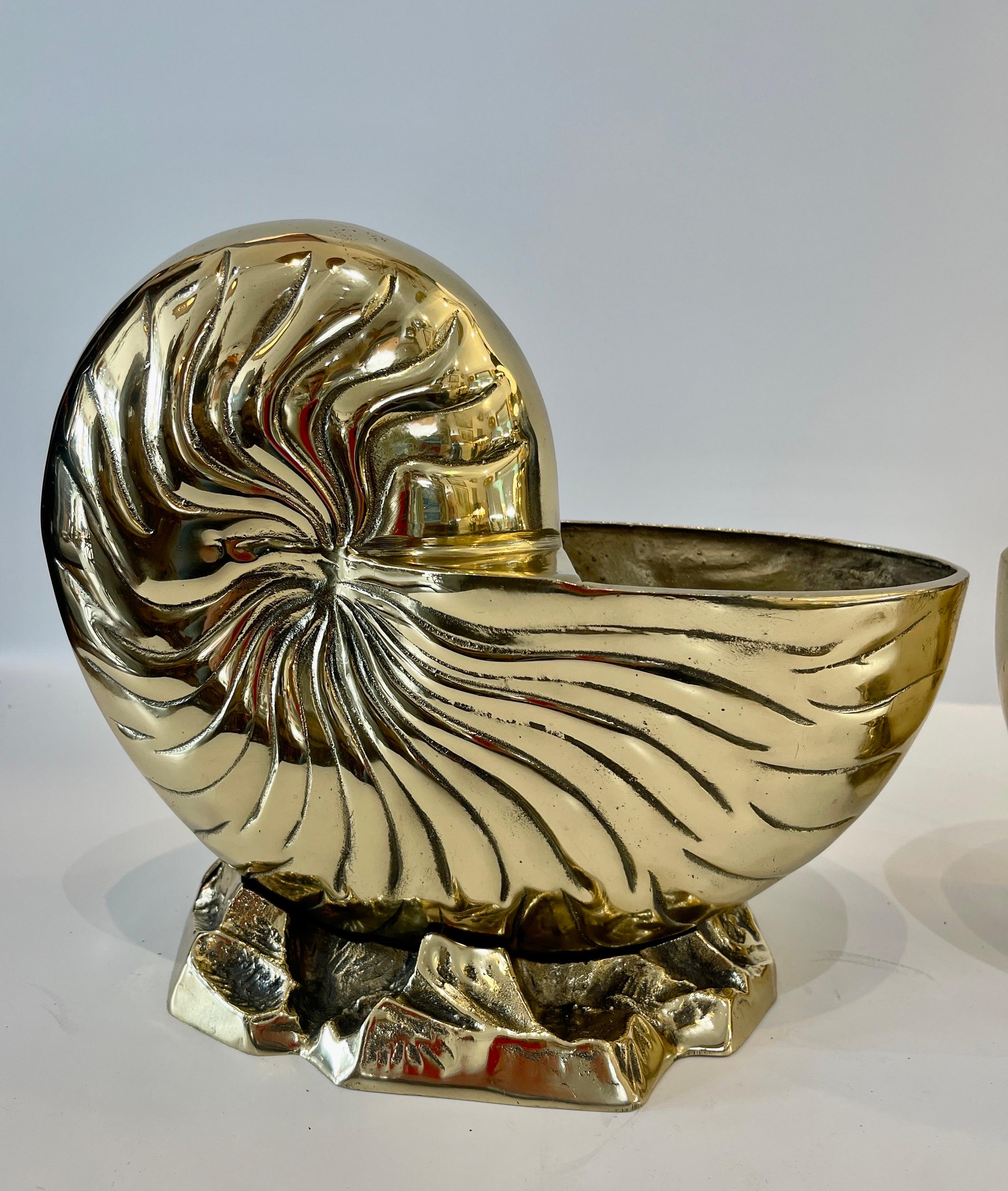 Paar Groß  Nautilus Shell Flaschenkühler oder Pflanzgefäße aus massivem Messing (Geformt) im Angebot