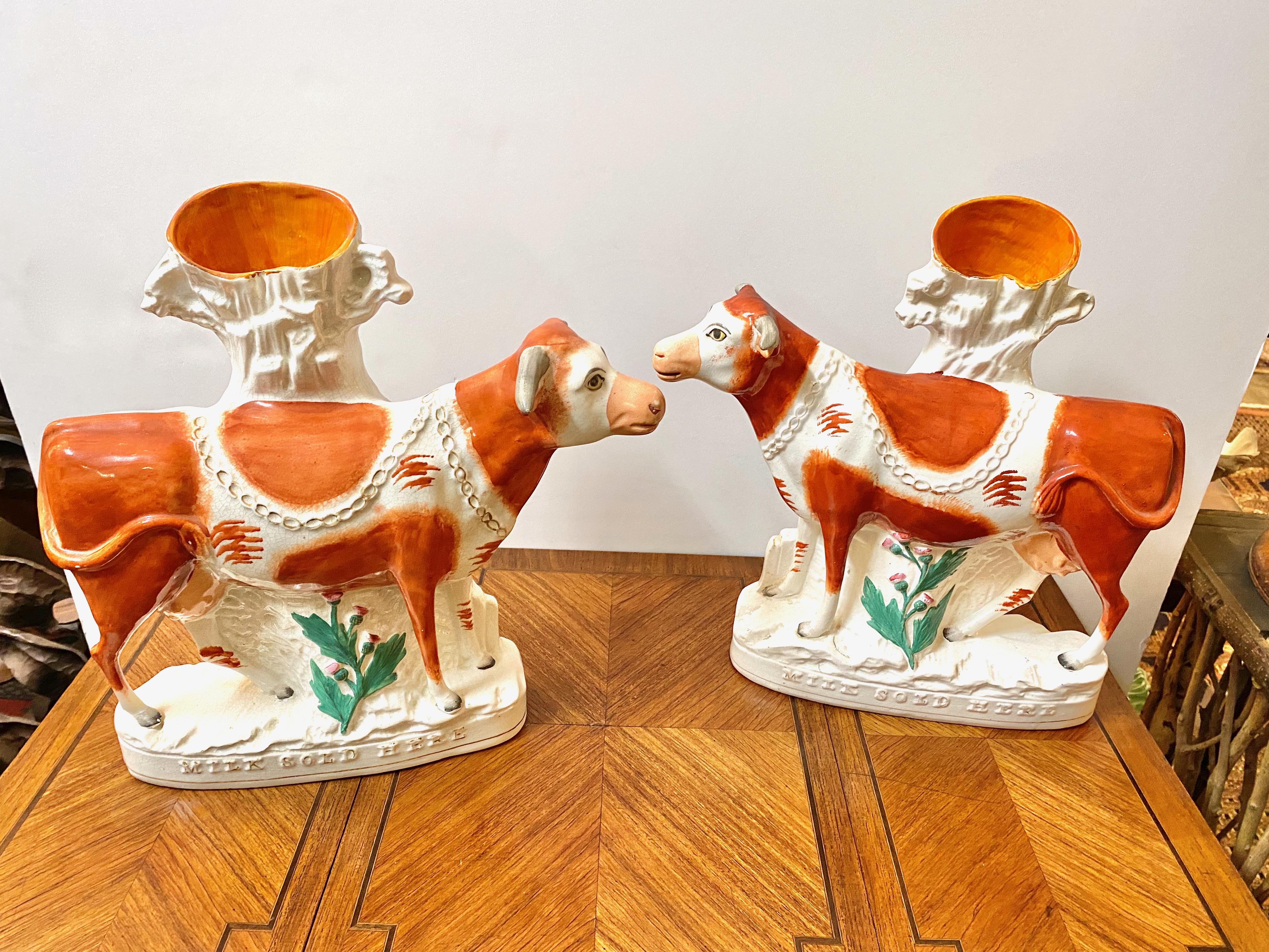 This is a very large and unusual pair of mid-19th century Victorian Staffordshire Dairy Cows that were originally used as trade signs in a milk shop. The inscription at the base of the figures reads 
