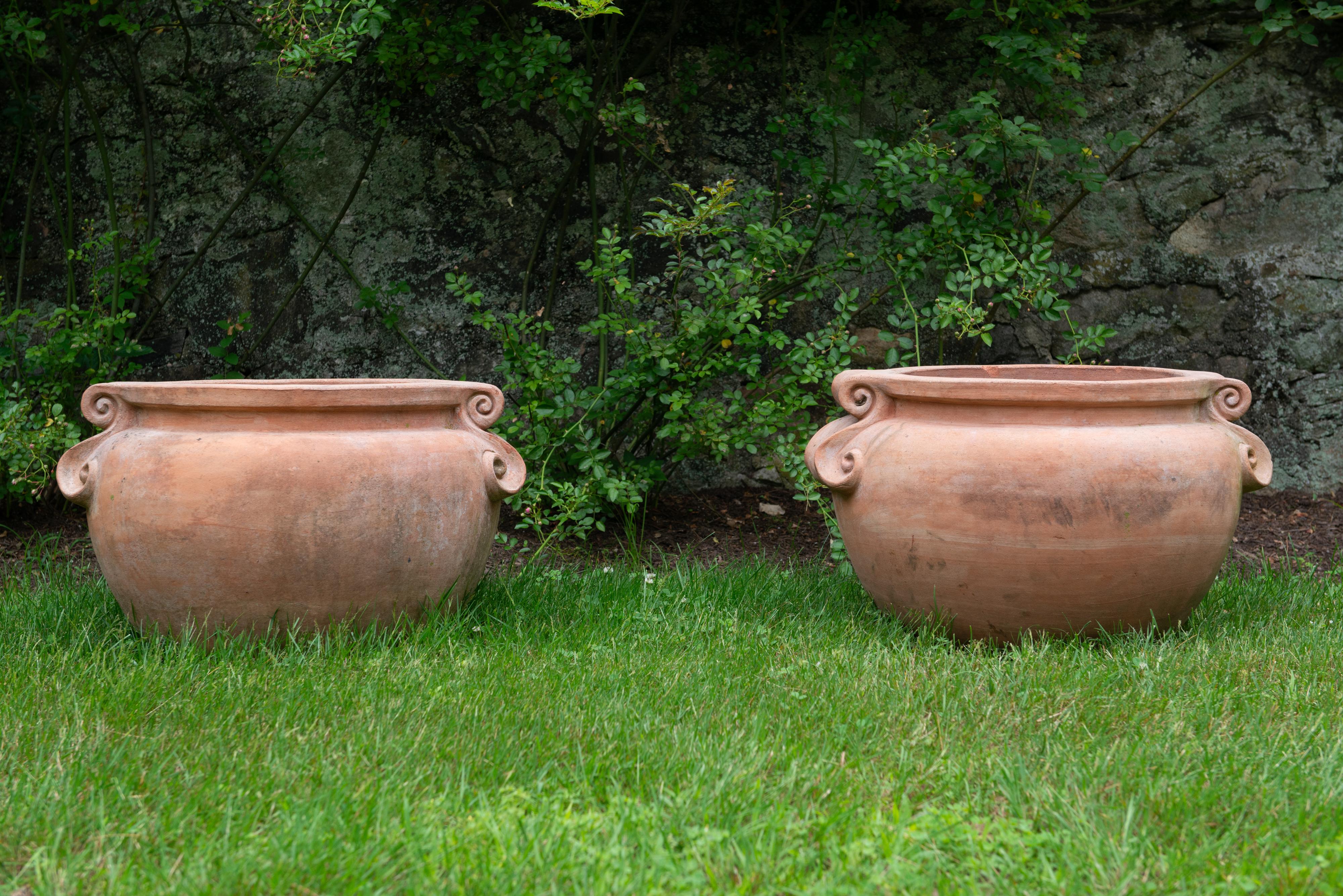 A large pair of curvy bulbous earthenware planter pots with large S curve scrolled decorative handles. These urns were handcrafted in Tuscany, Italy signed by Enzo Zago. Rare and high quality.