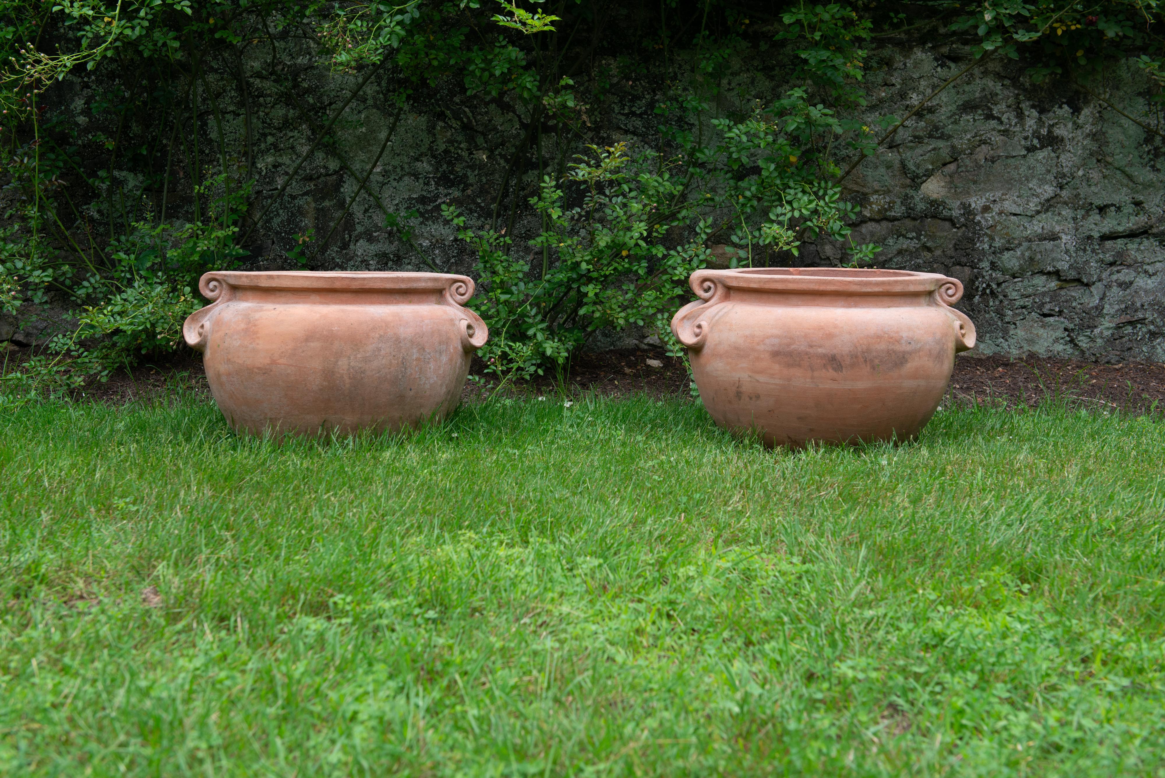 Baroque Revival Pair Large Stamped Enzo Zago Terracotta Planters, Italy For Sale