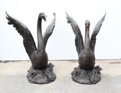 Pair Large Swan Statues - Royal Bird Garden Casting
