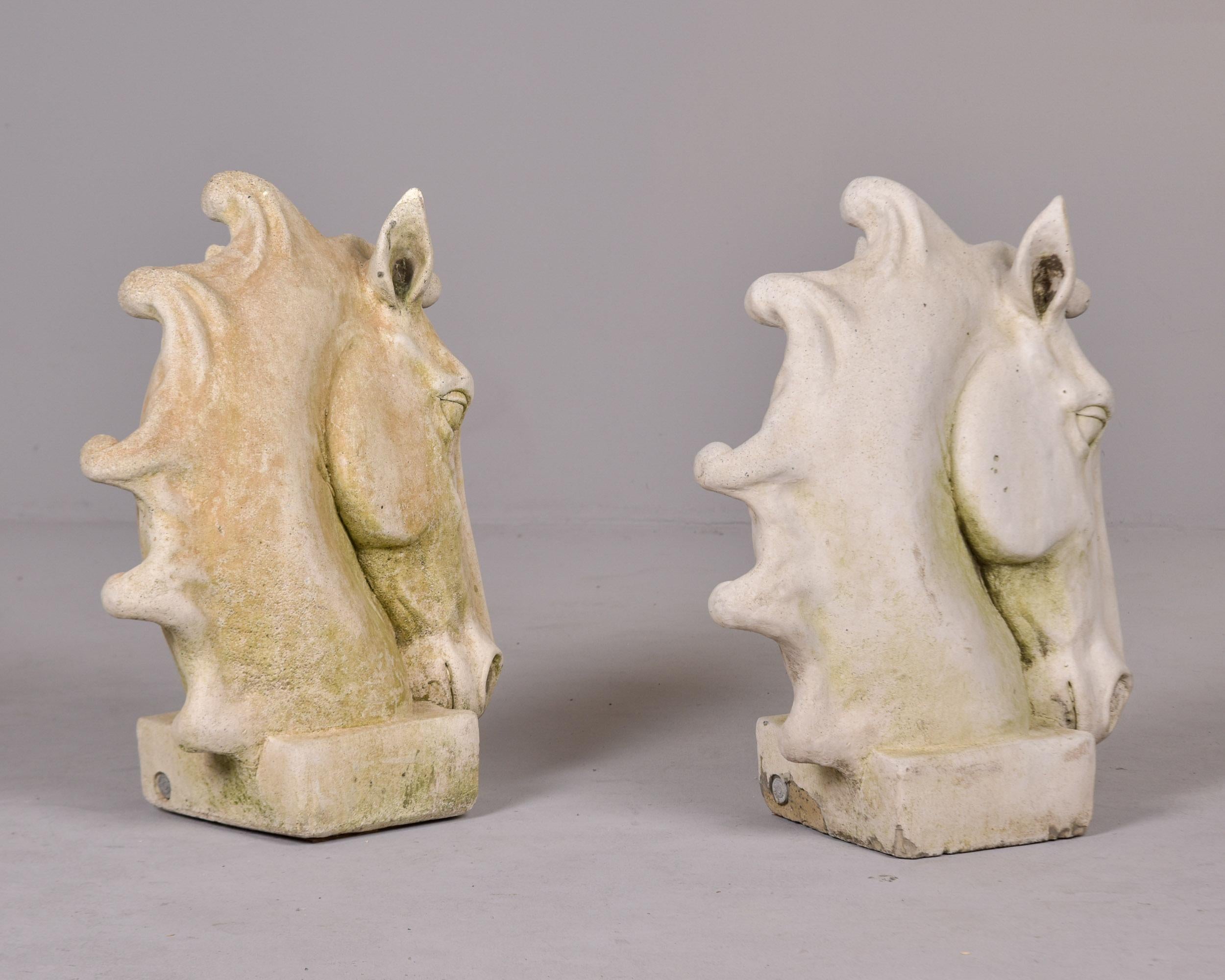 Pareja de grandes estatuas inglesas vintage de cemento fundido con cabeza de caballo para jardín en venta 3