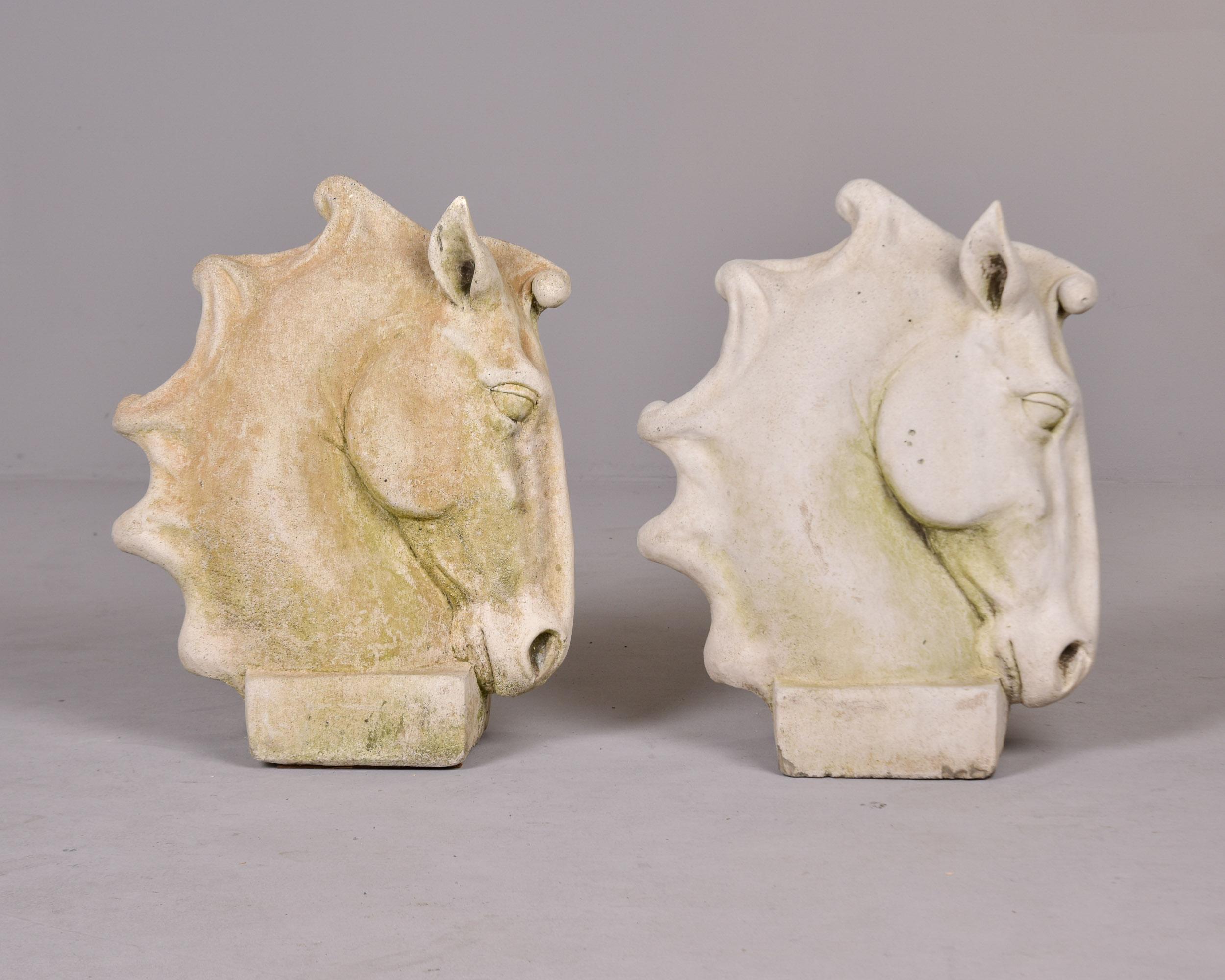 Pareja de grandes estatuas inglesas vintage de cemento fundido con cabeza de caballo para jardín en venta 4