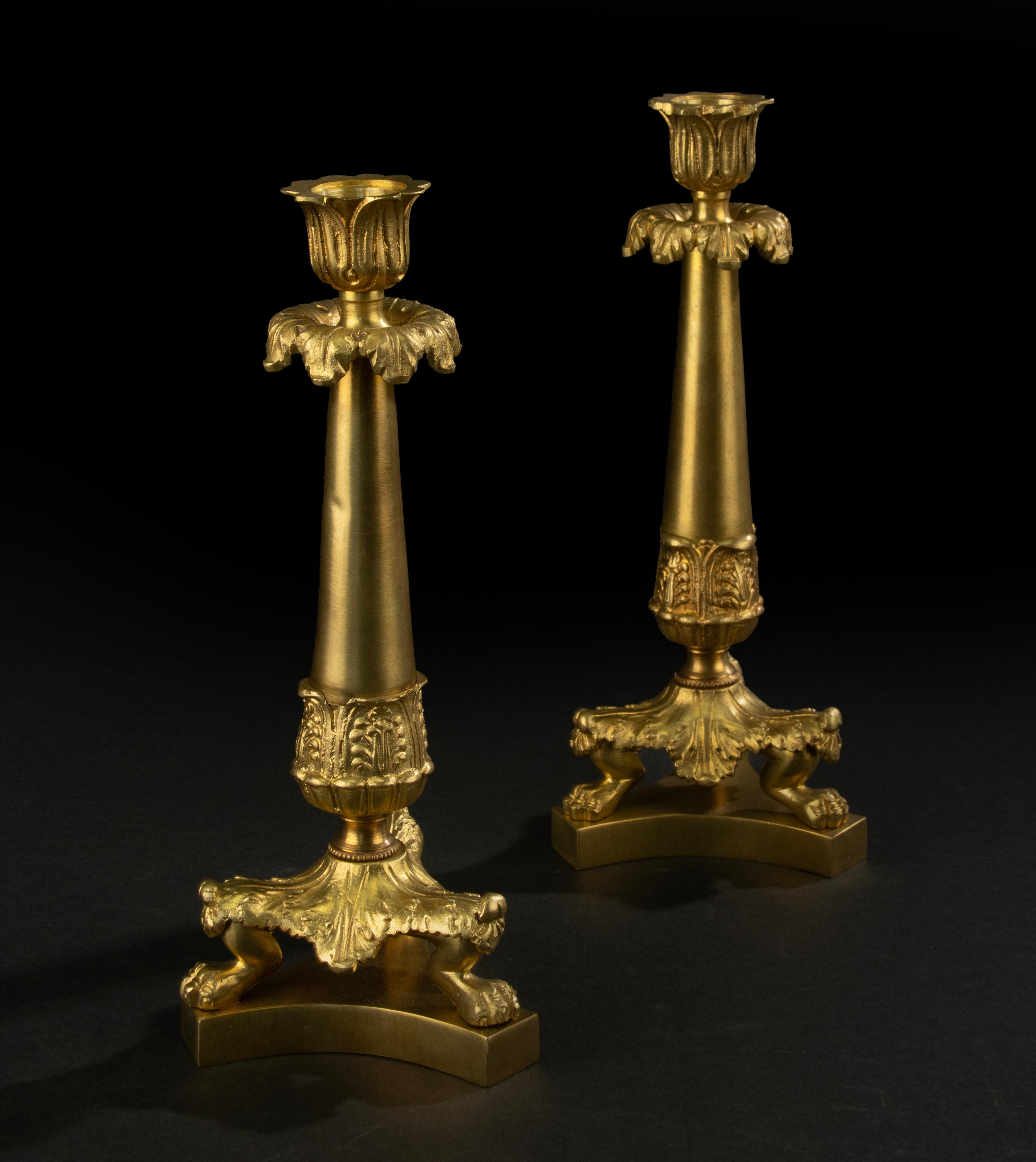 Pareja de Candeleros de Finales del Siglo XIX - Estilo Imperio Francés - Bronce dorado Ormolu en venta 3