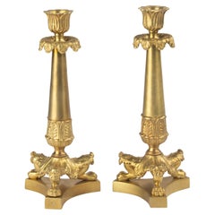 Decorative Objects