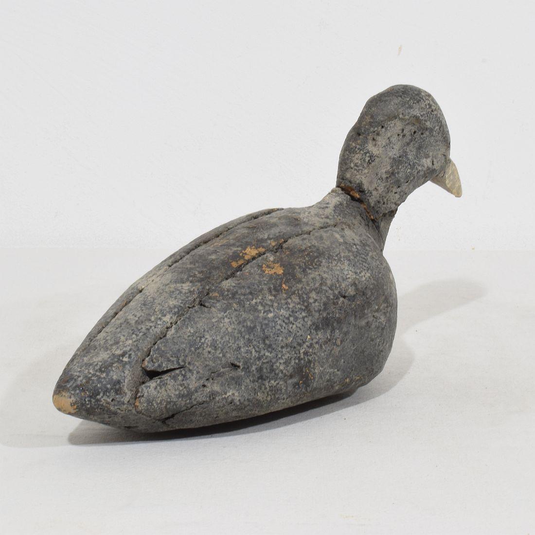 Pair Late 19th Century French Decoys/ Cork Coots For Sale 11