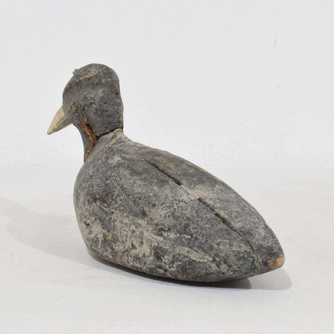 Pair Late 19th Century French Decoys/ Cork Coots For Sale 12