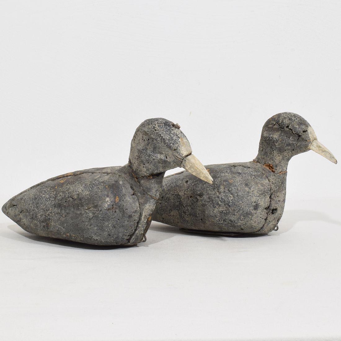 Jolie paire d'appeaux d'art populaire français. Deux foulques en liège avec des becs en bois.
Sur le fond, vous pouvez voir des poids en plomb pour les maintenir en place sur l'eau.
Pièces très décoratives et rares, surtout en paire.
France vers