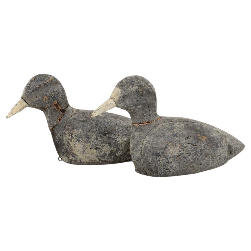 Pair Late 19th Century French Decoys/ Cork Coots For Sale