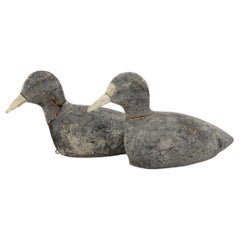 Pair Late 19th Century French Decoys/ Cork Coots