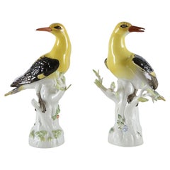 Antique Pair Late 19th Century Meissen Porcelain Oriel Birds