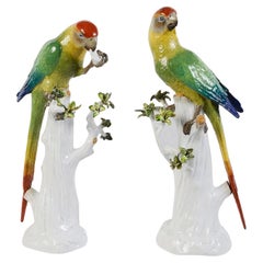 Pair late 19th Century Meissen porcelain Parrots.