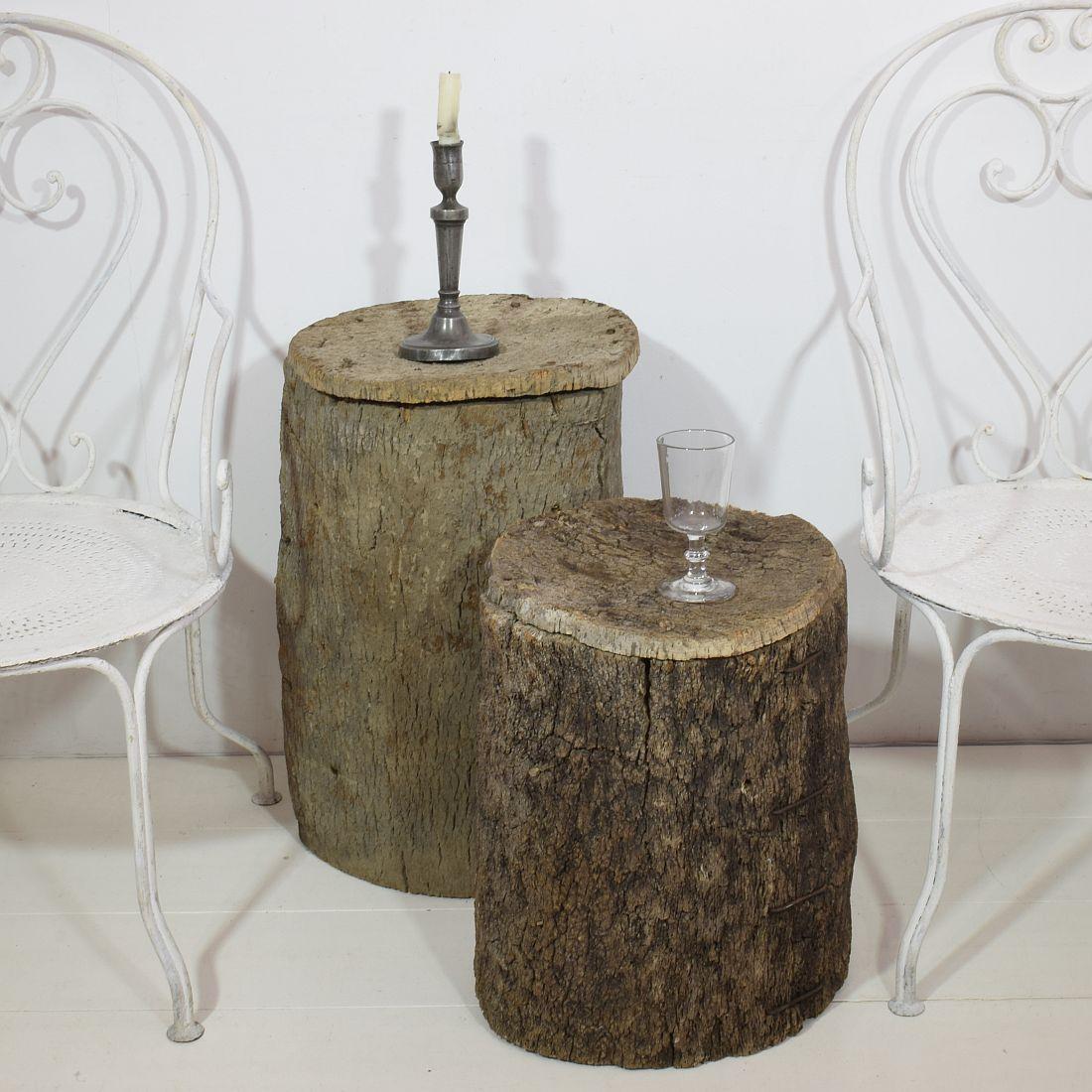 Beautiful and rare pair of cork bee- hives from Portugal. Now nice to use as small side tables.
Portugal, circa 1880-1900. Weathered and small losses.
Measures: H:46-58cm W:34-34cm.
Measurement here below of the largest.