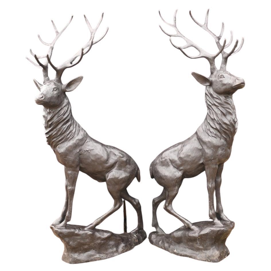 Pair Lifesize Bronze Stags Scottish Highlands Moose Elk For Sale