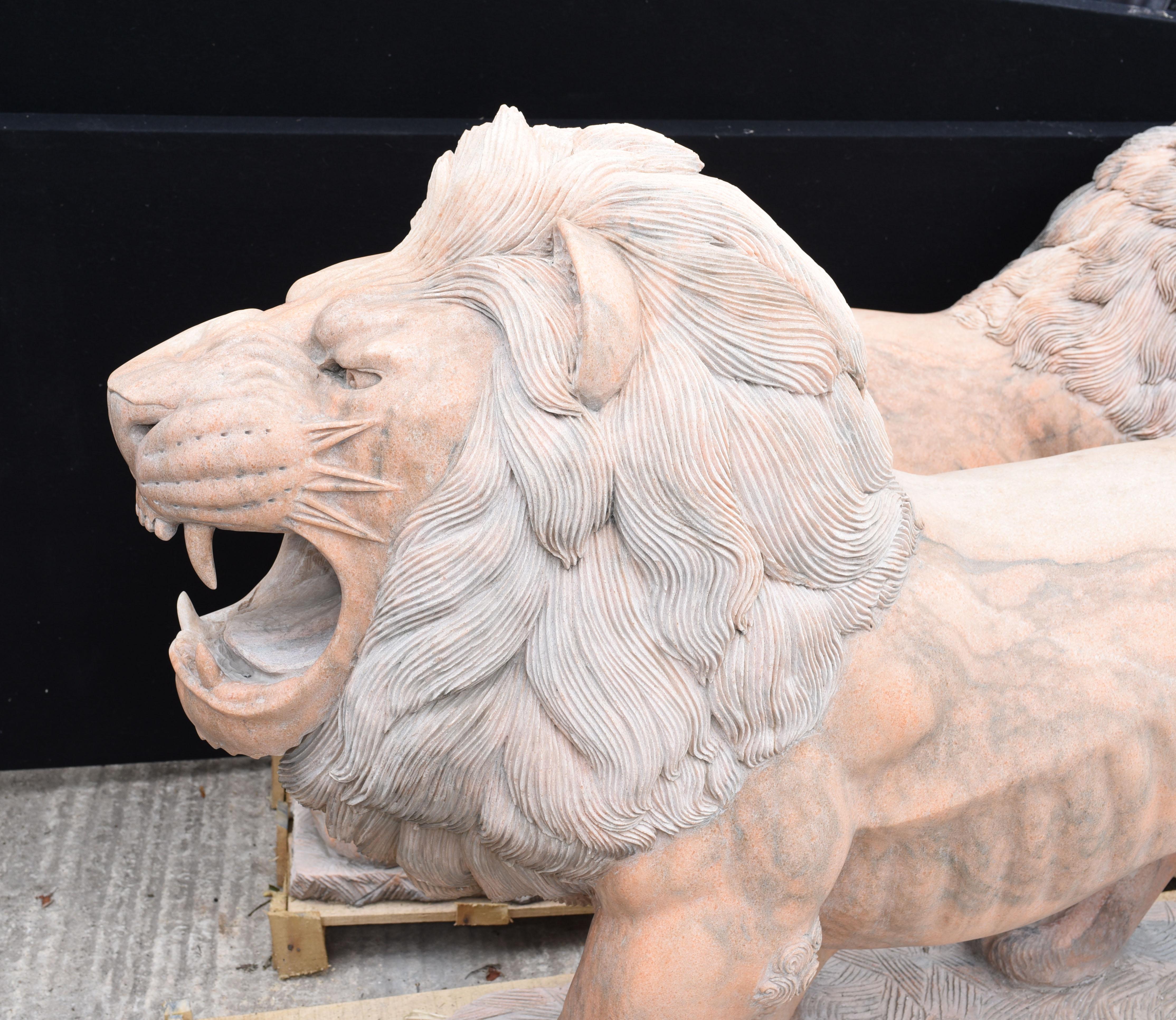 Paire de lions grandeur nature en marbre rose Lion Gatekeepers Medici Garden en vente 7