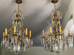 Coppia di lampadari Luigi XV del XIX secolo in bronzo dorato e cristallo