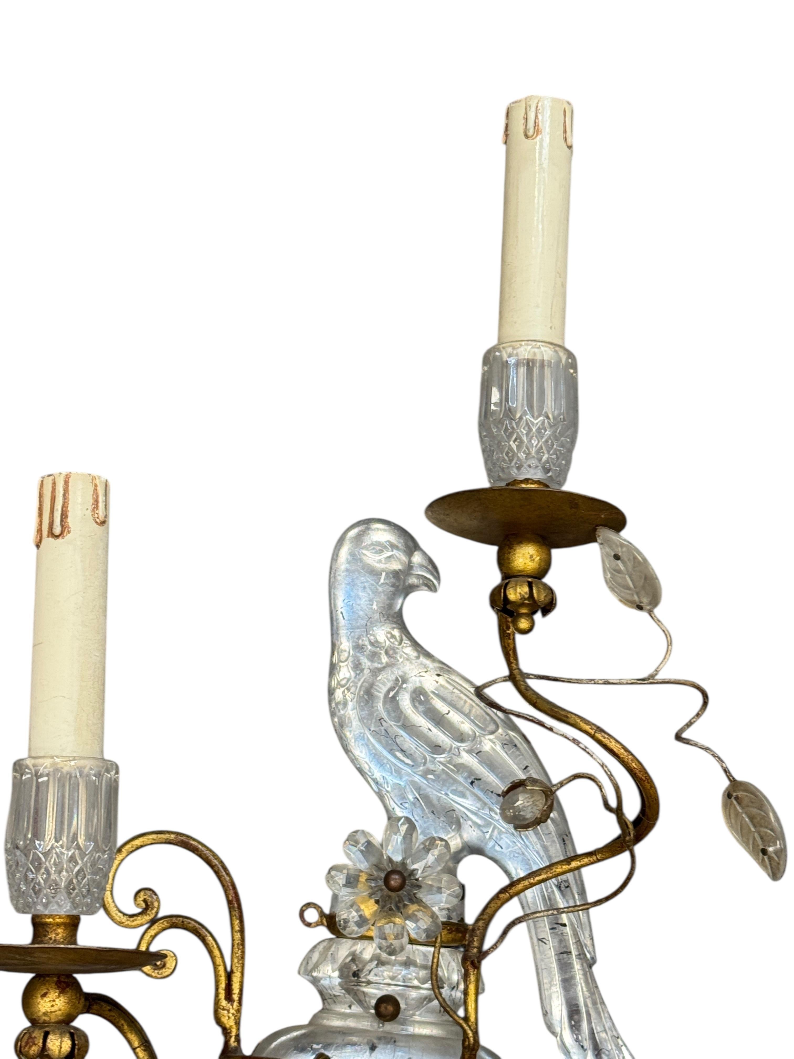 Doré Paire de magnifiques appliques perroquets en fer doré et verre de la Maison Baguès en vente