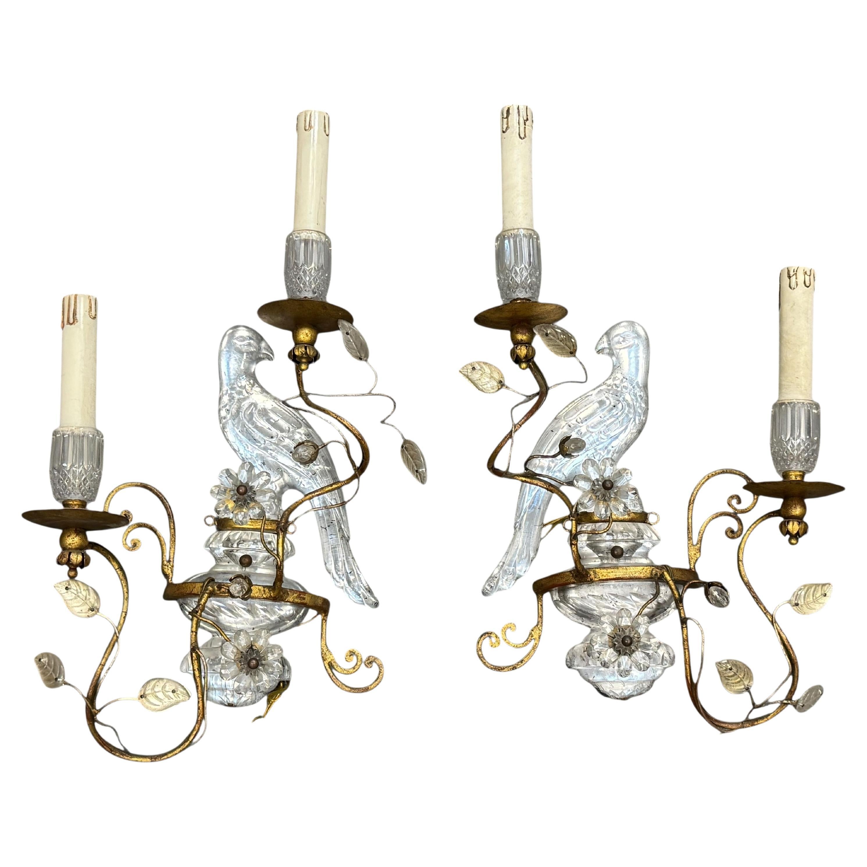 Paire de magnifiques appliques perroquets en fer doré et verre de la Maison Baguès en vente