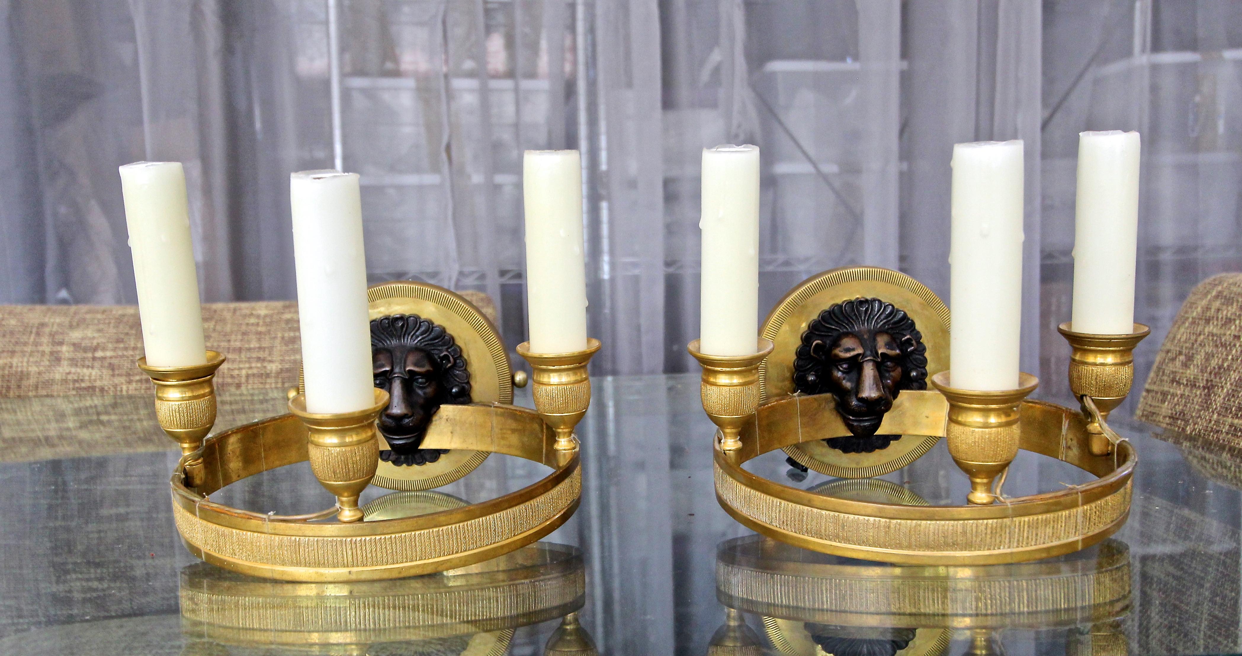 Brass Pair of Maison Baguès Style French 3-Light Lion Wall Sconces For Sale
