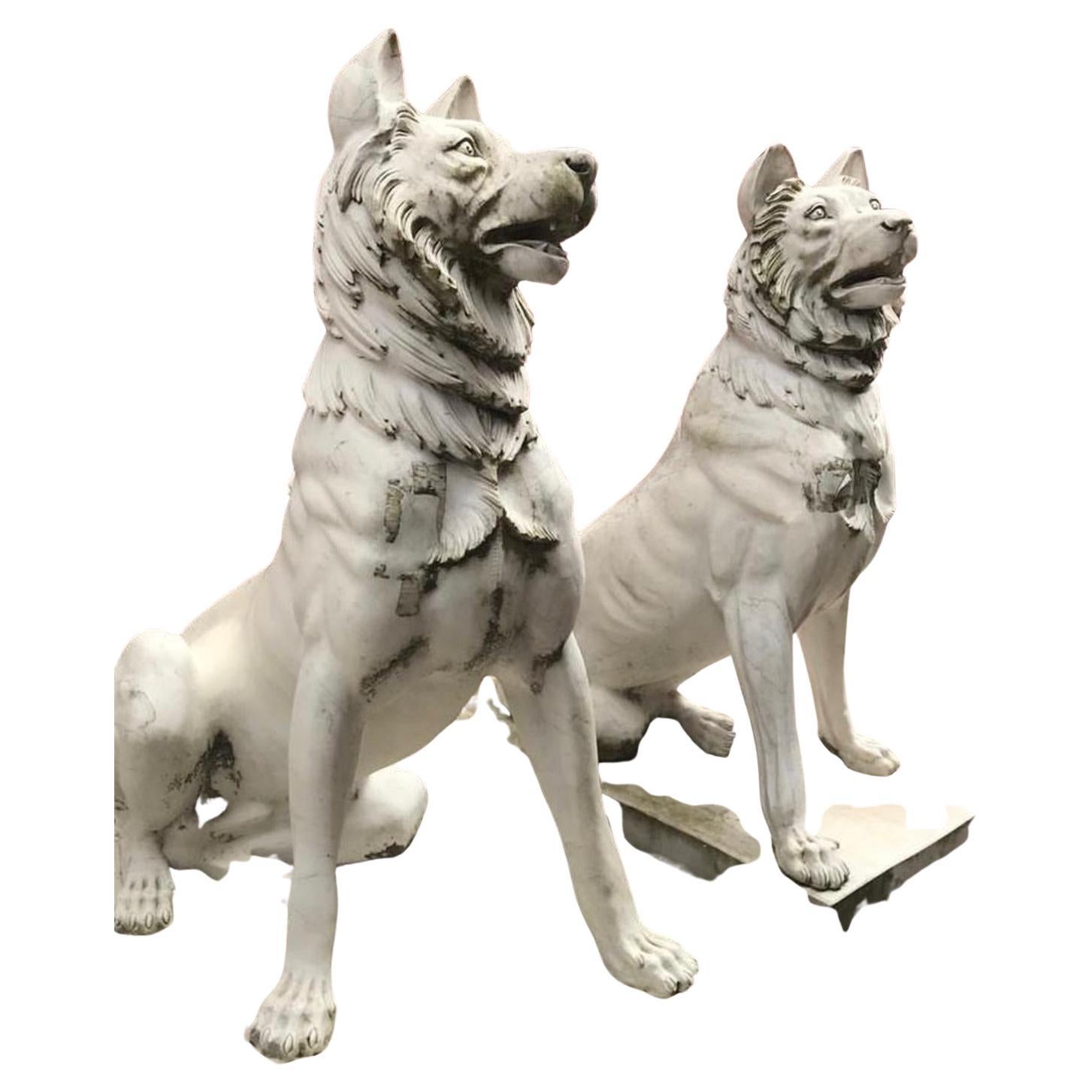 Baroque Pair Marble Dogs Cans de Jennings For Sale