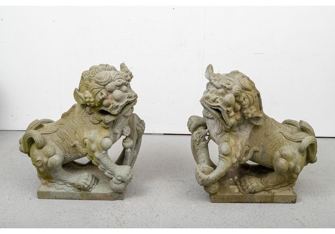 A pair of very large and expressive opposing Foo Lions in Granite with an overall gray-green speckled finish. The lions are seated, one with its pup and the other holding a long stemmed flower. 
Measures: height 37