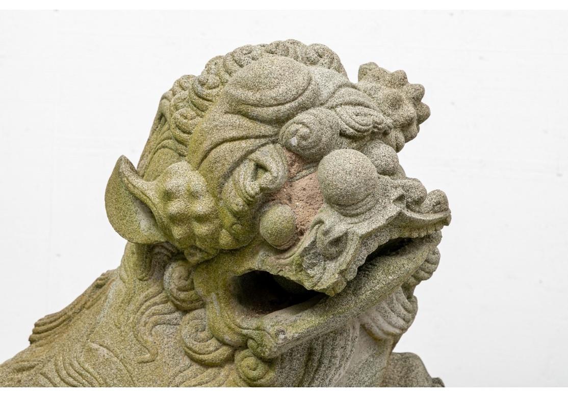 Han Pair Massive Carved Granite Foo Lion Entrance Guardian Figures  For Sale