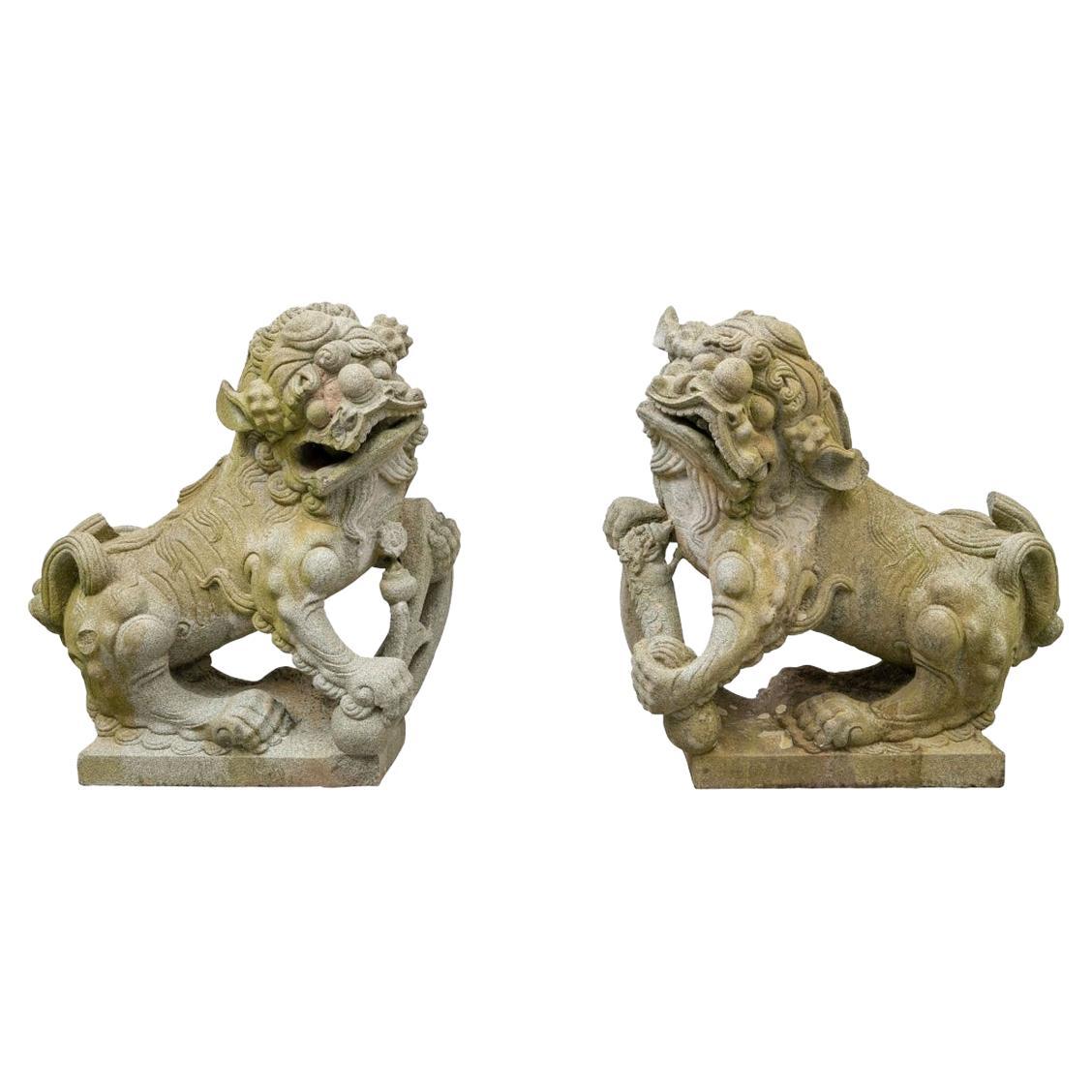 Paire de grandes figures de gardiens de l'entrée en granit sculpté en forme de lion Foo 