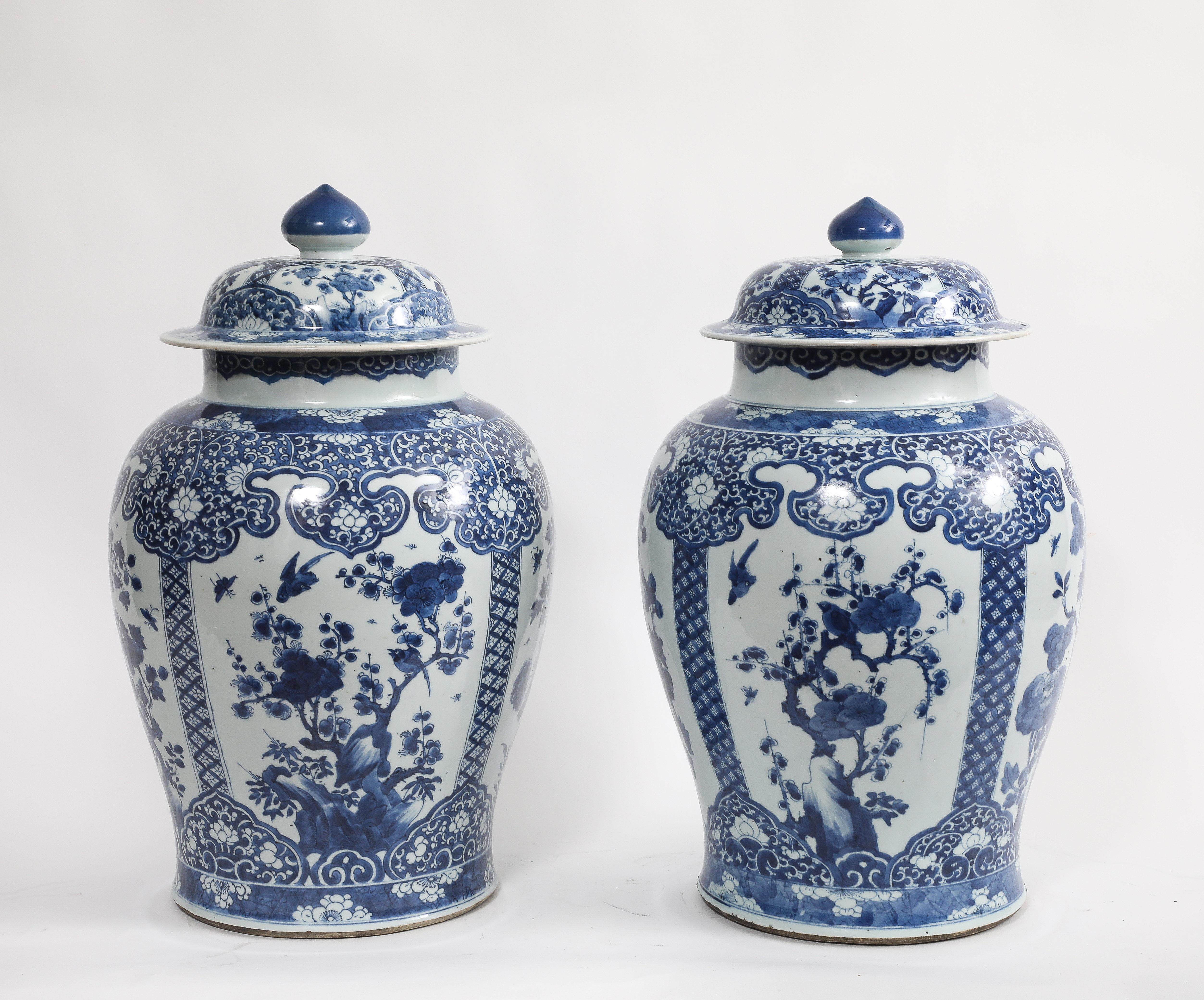 Ein sehr feines und bedeutendes Paar massiver chinesischer Ingwerkrüge aus der Kangxi-Zeit (18. Jahrhundert) mit blauem und weißem Überzug und floralen Kartuschen  Jedes der Gefäße ist durchgehend in Blau und Weiß gehalten und zeigt Reserven von