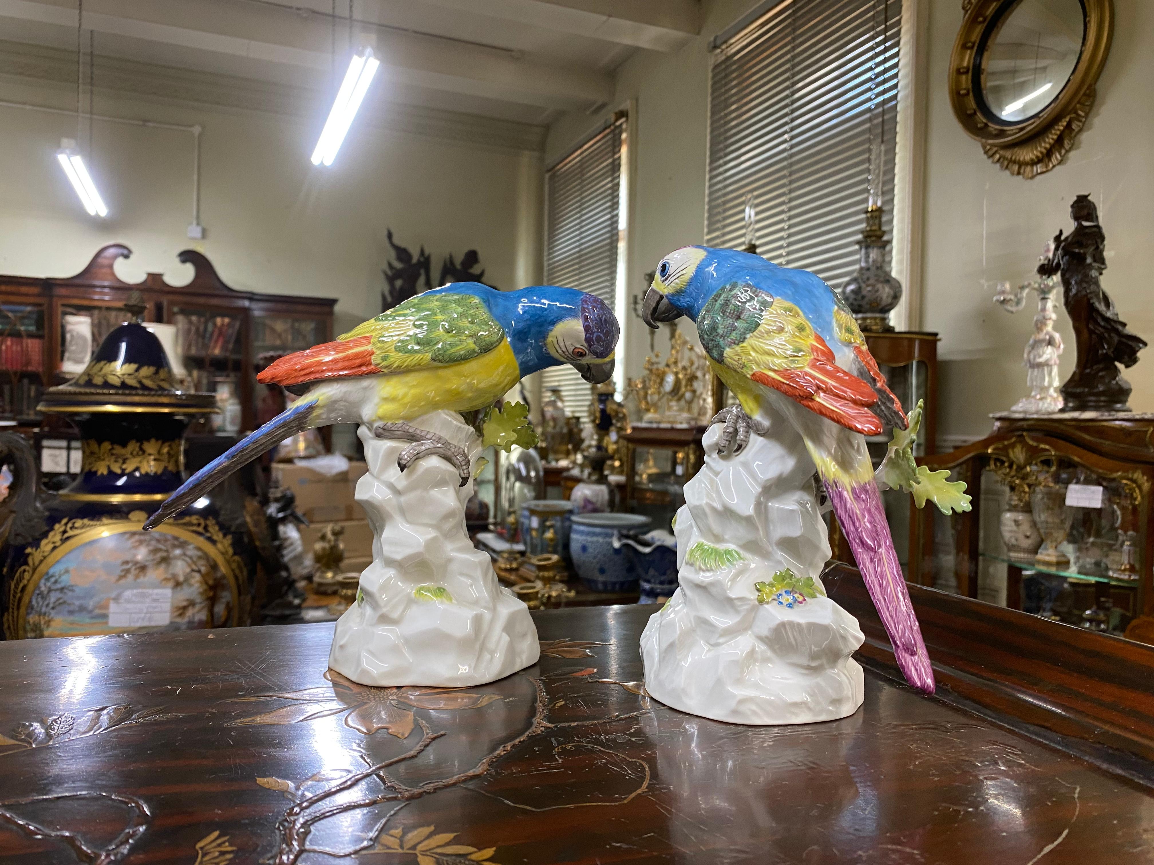 A beautiful pair of early 20th Century Meissen porcelain parrots, each perched on a rocky outcrop and tree trunk, with wonderful bold exotic colours.