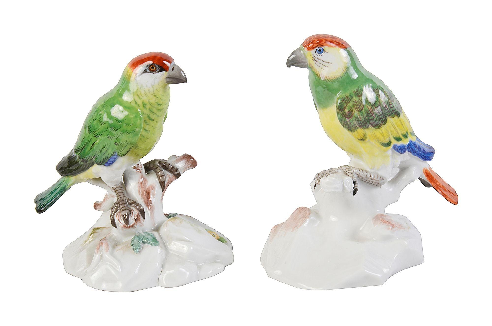 Hand-Painted Pair Meissen parrots, late 19th century For Sale