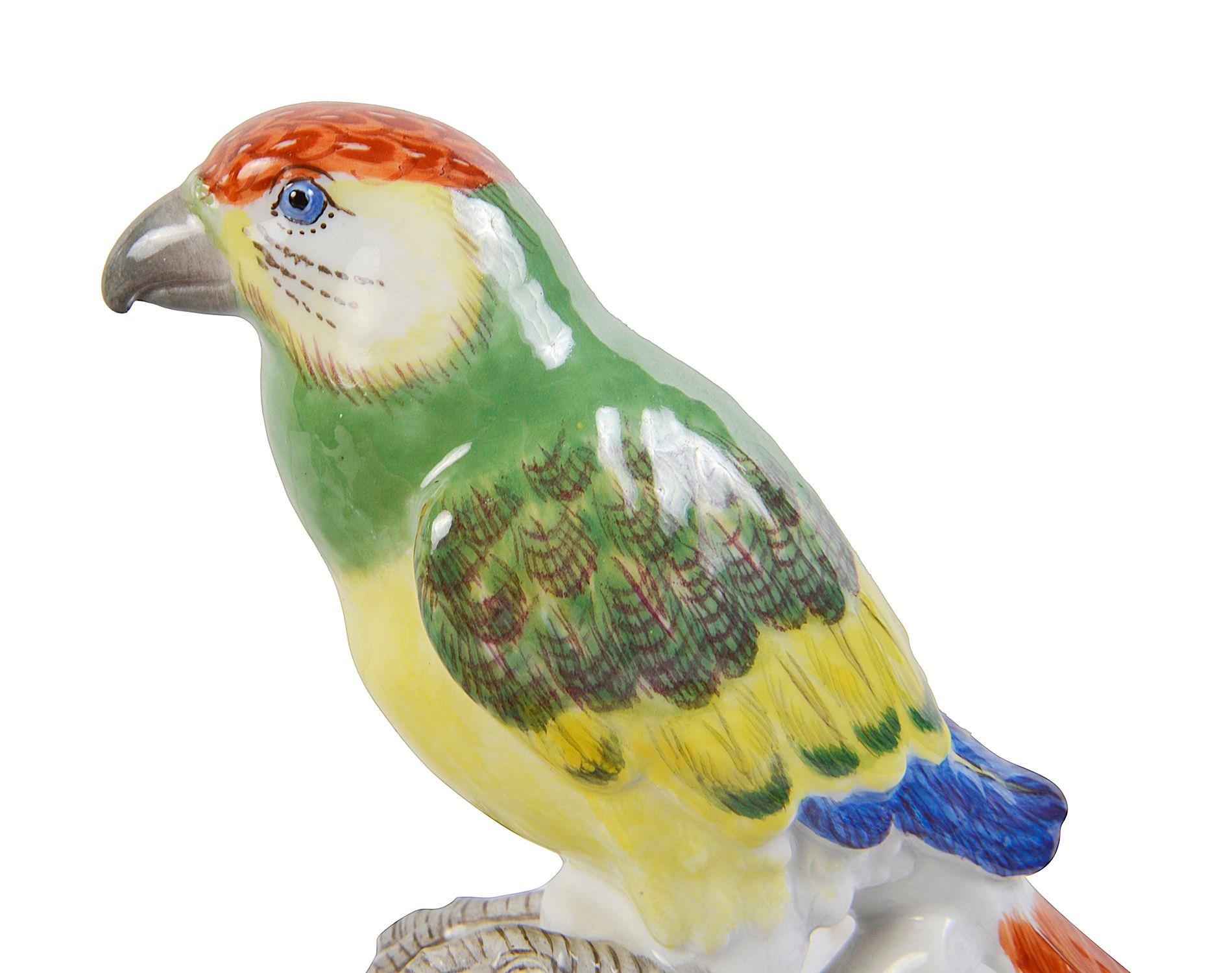19th Century Pair Meissen parrots, late 19th century For Sale