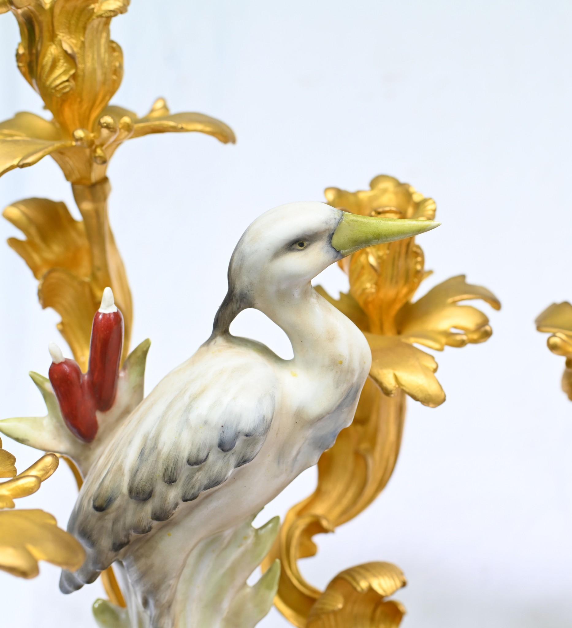 Bronze Pair Meissen Porcelain Gilt Bird Candelabras German Dresden For Sale