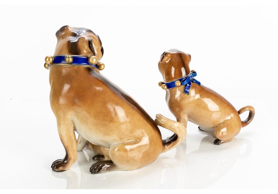 Une belle paire de figurines en porcelaine de Meissen représentant des chiens carlins avec des colliers à clochettes dorés et des rubans bleus.  Peint à la main de façon exquise avec des tons et des couleurs réalistes. Chaque carlin porte un collier