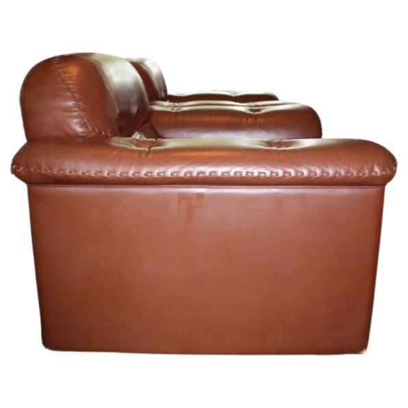 Swiss Pair Mid century De Sede Ds 101 lounge chairs Leather Switzerland 1970s