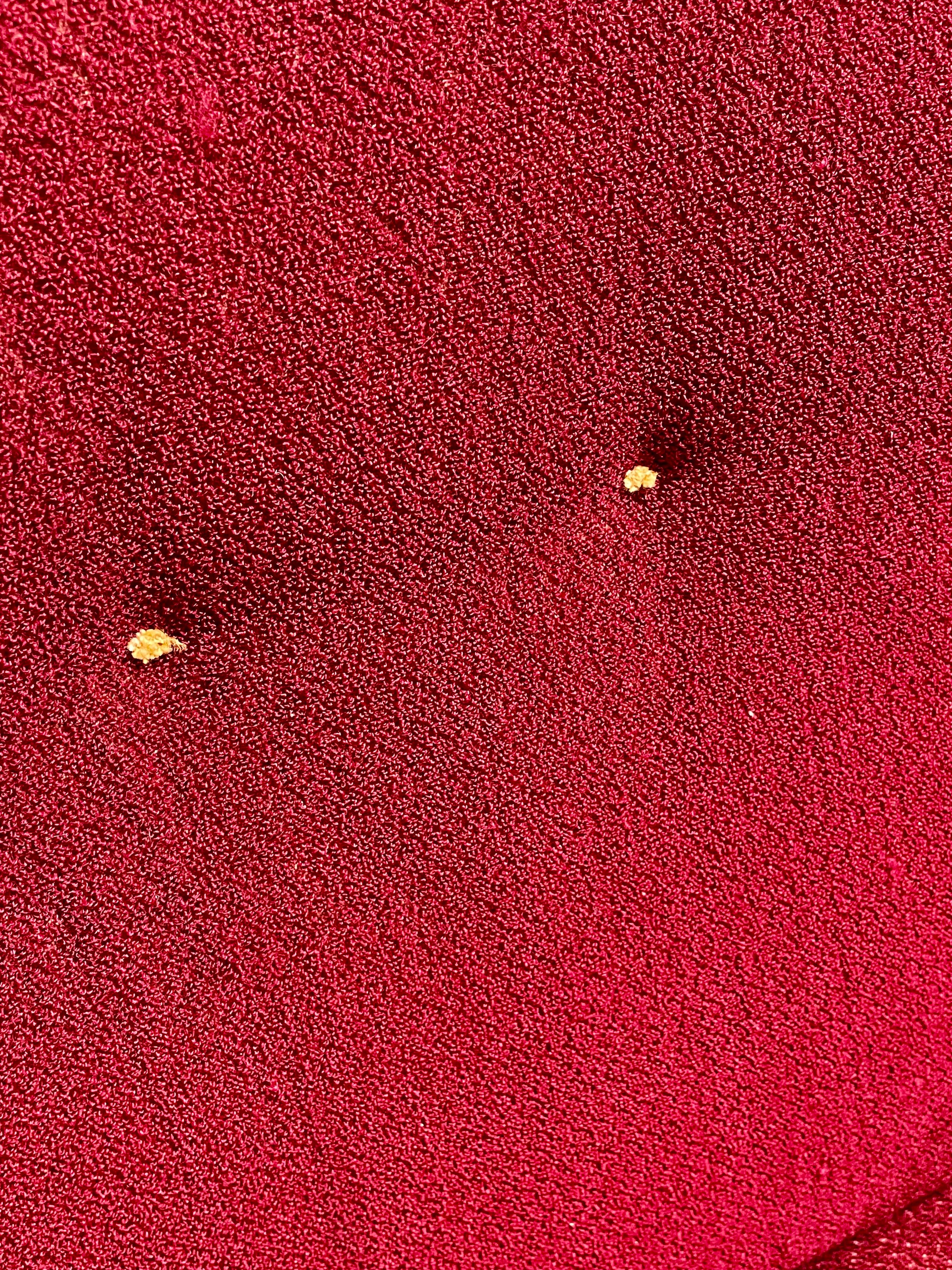 PAIRE - Chaises longues modernes du milieu du siècle par Jaroslav Smidek, fabriquées en République tchèque, années 1960 en vente 4