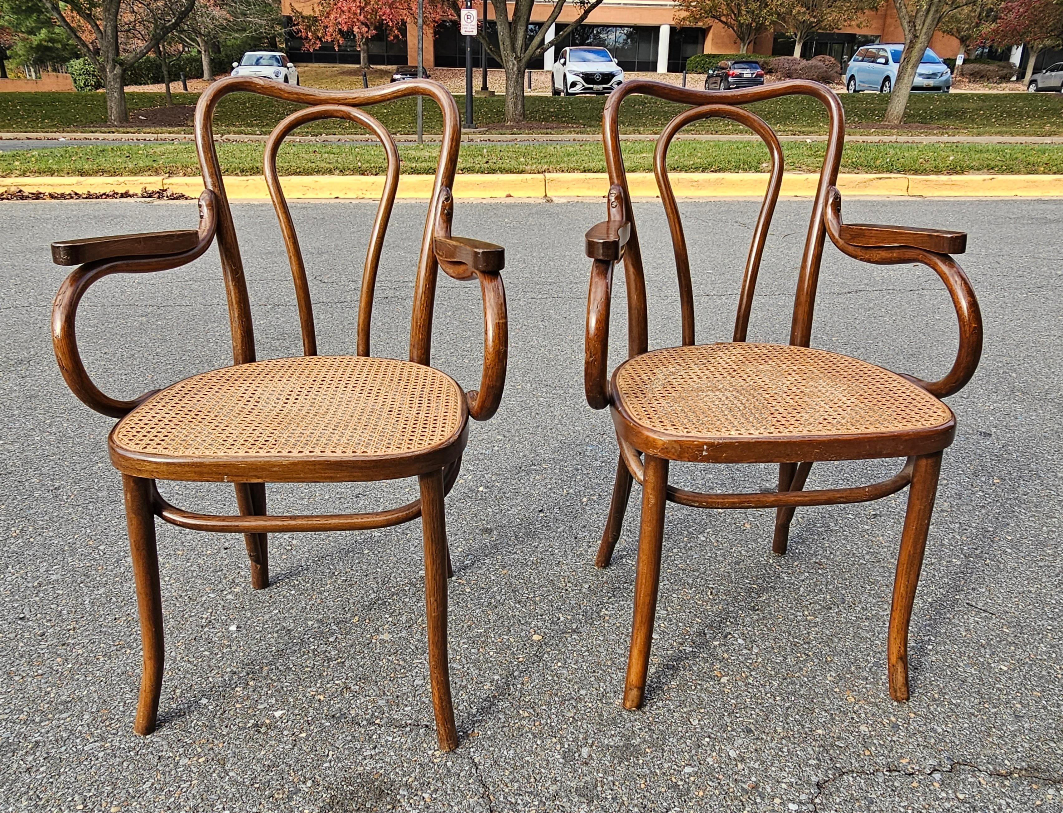Pair Mid-Century Thonet Style Bentwood and Cane Arm Chairs For Sale 4