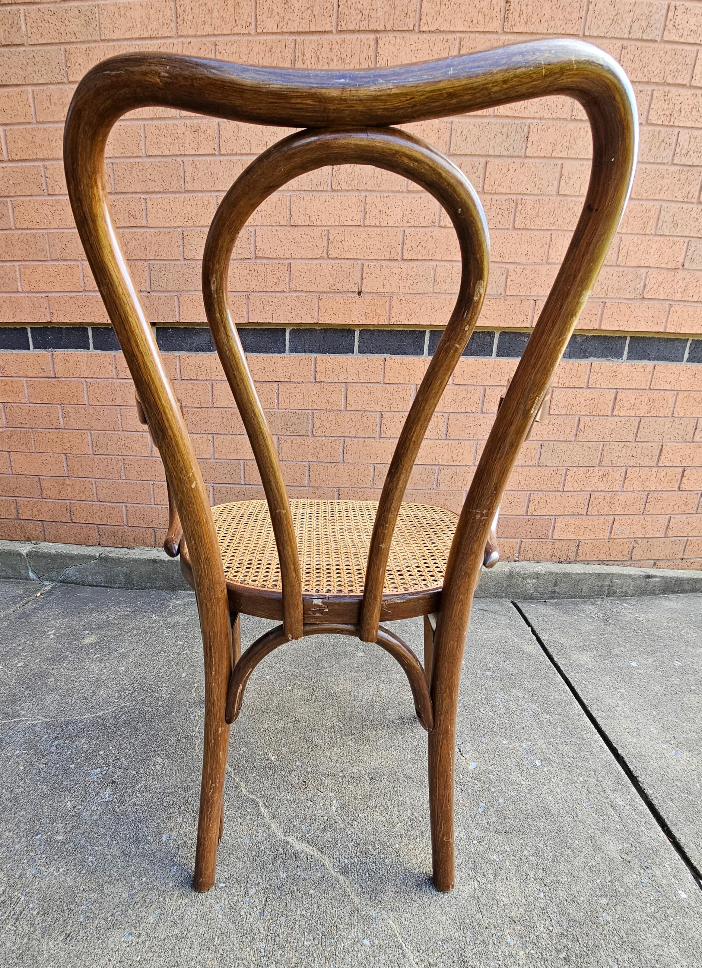 19th Century Pair Mid-Century Thonet Style Bentwood and Cane Arm Chairs For Sale