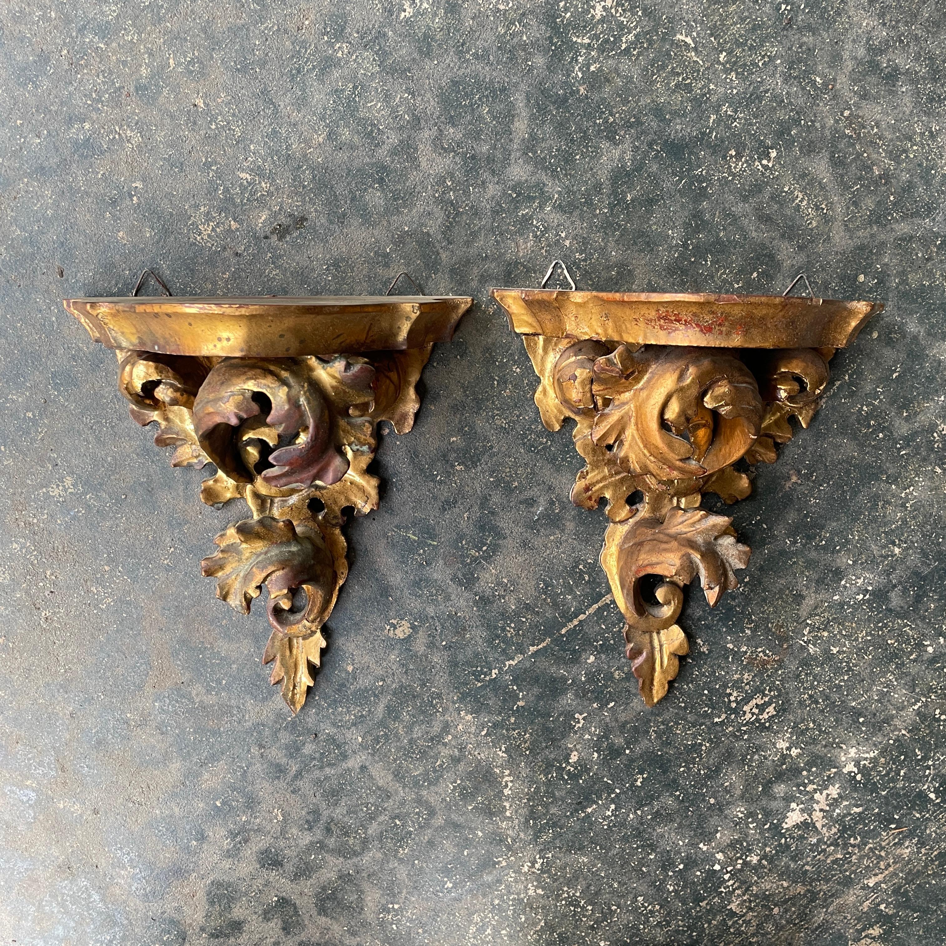 Pareja de estantes de pared venecianos antiguos, en acanto tallado dorado.
Anchura 6,5 x Profundidad 3 5/8 x Altura 7,5 pulg.