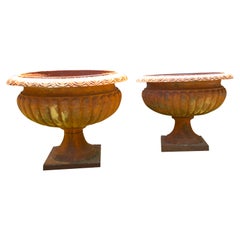 Pair Monumental Cast Iron Urn Planters